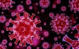 Alertan por el riesgo de las variantes del coronavirus