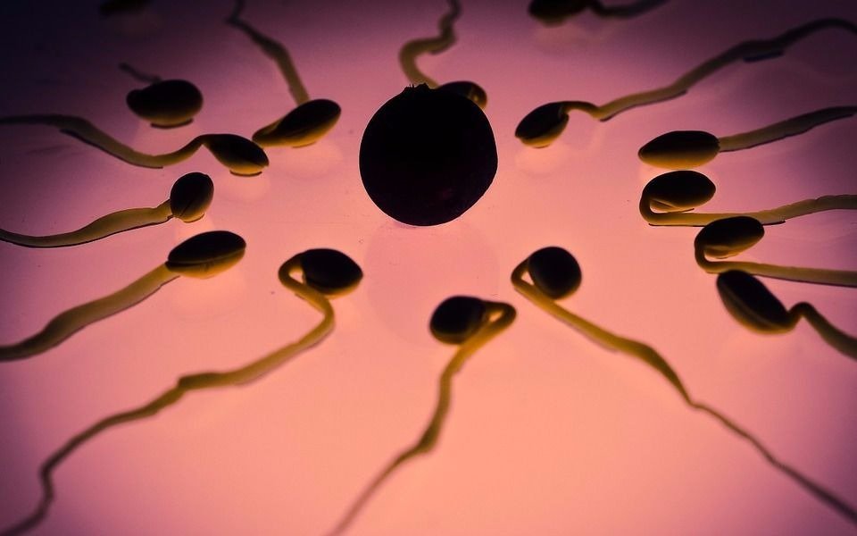 El COVID podría afectar la calidad del esperma