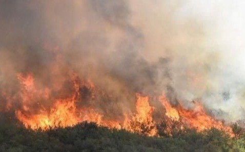 Suman brigadistas del norte argentino para combatir el incendio de El Bolsón