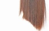 Una colecta de cabello para ayudar a pacientes oncológicos