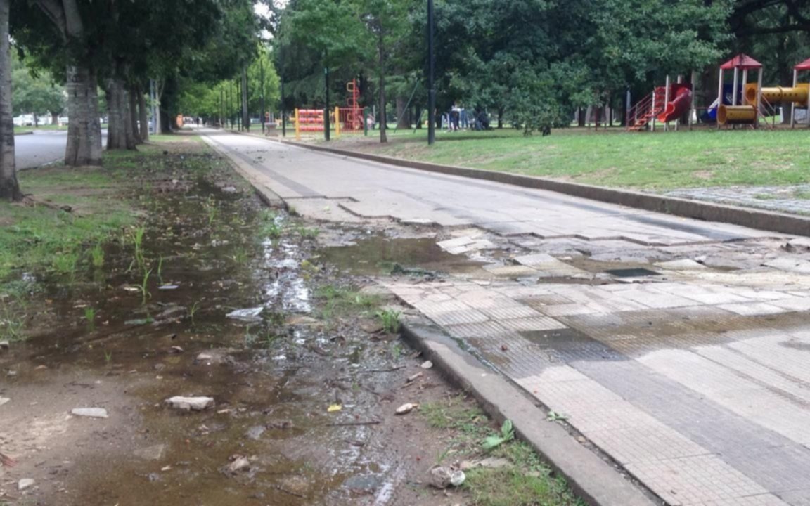Una pérdida de agua lleva más de 40 días en el Parque Saavedra