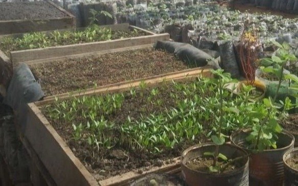 Eco-Canje, una novedosa propuesta que llega este miércoles a City Bell