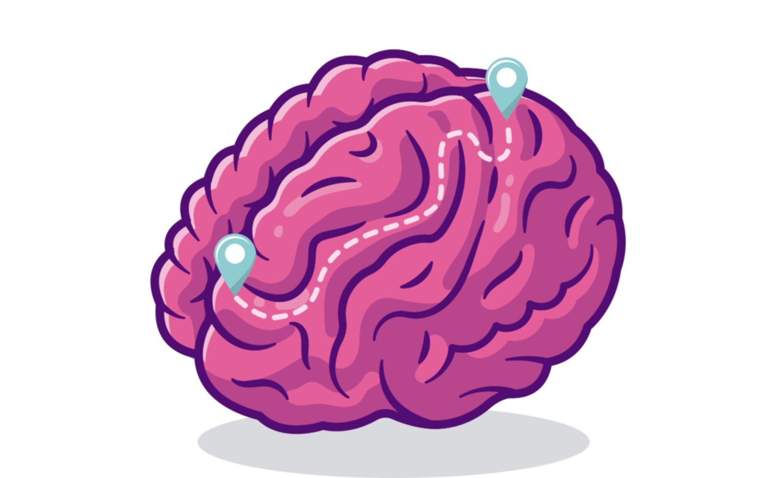 El cerebro, la máquina perfecta que viene con GPS incorporado
