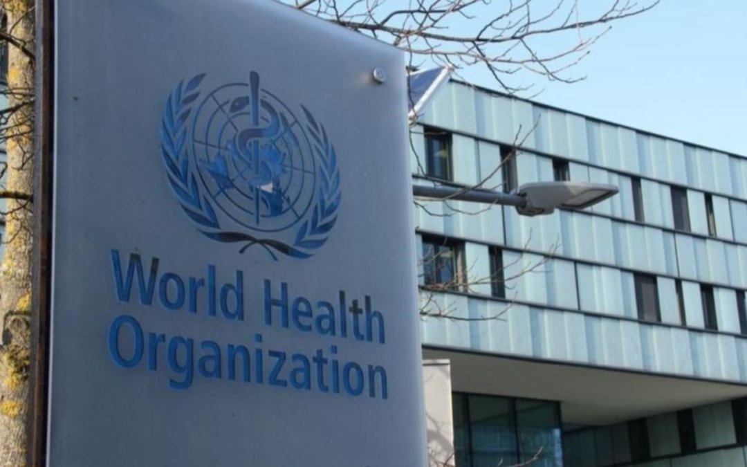 Avanza la investigación de la OMS sobre los orígenes de la enfermedad