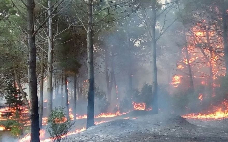 Persisten incendios activos en tres provincias patagónicas