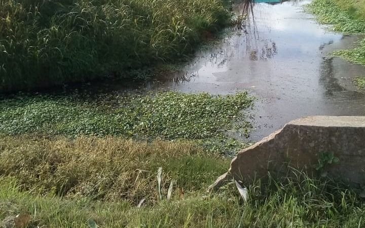 Piden medidas urgentes por falta de contención de un arroyo en 7 y 637