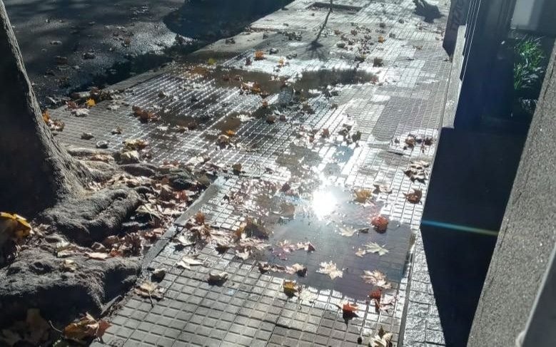 Reclamo por cañería rota y falta de agua a los usuarios en 9 y 56