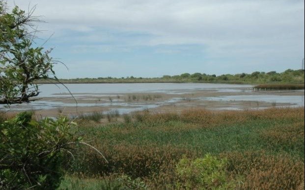 Convocan a elaborar la Agenda Ambiental 2021 de la Región