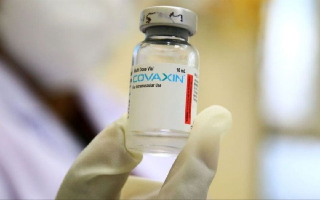 Cómo funciona, cuáles son sus características y qué se sabe de la Covaxin