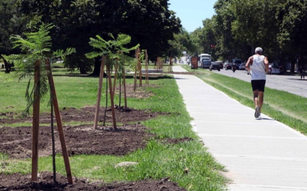 Día del Medio Ambiente: forestaron el paño verde lindante a avenida Antártida