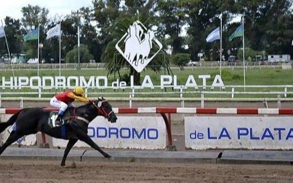 El Hipódromo local será sede logística de los comicios de los extranjeros