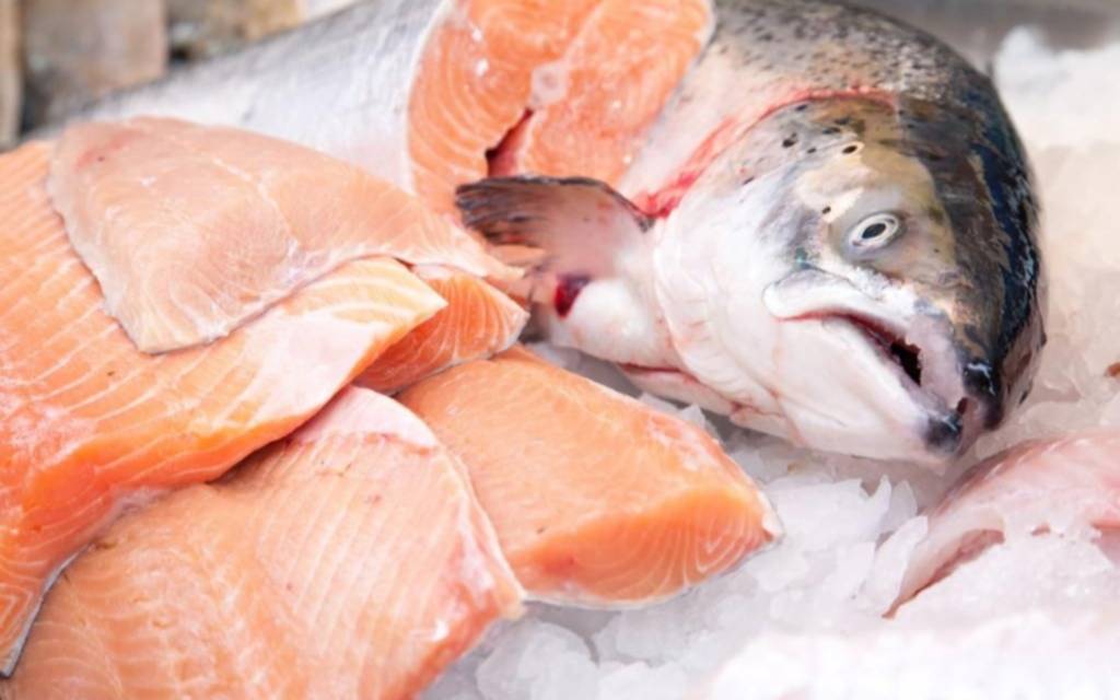 En una medida histórica, prohíben la cría de salmones en Tierra del Fuego