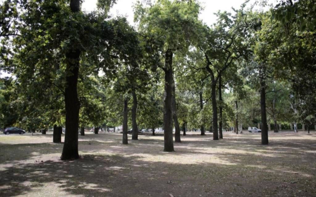 “Calles abiertas”: mañana vuelven a peatonalizar el Paseo del Bosque