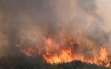 El fuego arrasa superficies récord en Grecia
