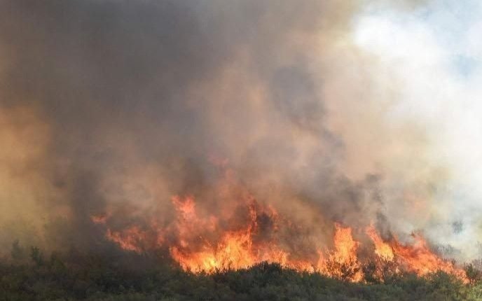 Intensa ola de calor con incendios en España