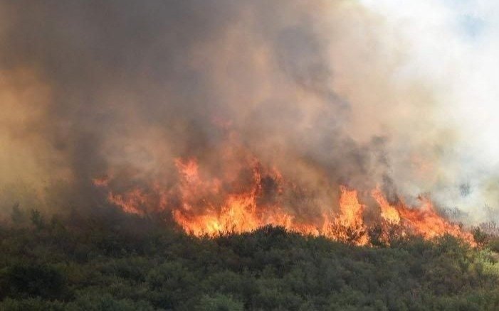 Focos activos de incendios forestales en tres provincias