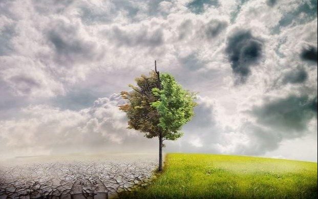 Entre enero y septiembre la temperatura en el país fue “superior a lo normal”