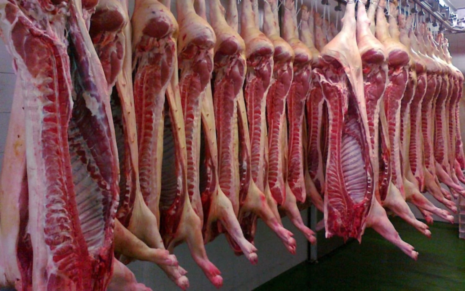 Se derrumbaron 30% las exportaciones de carne