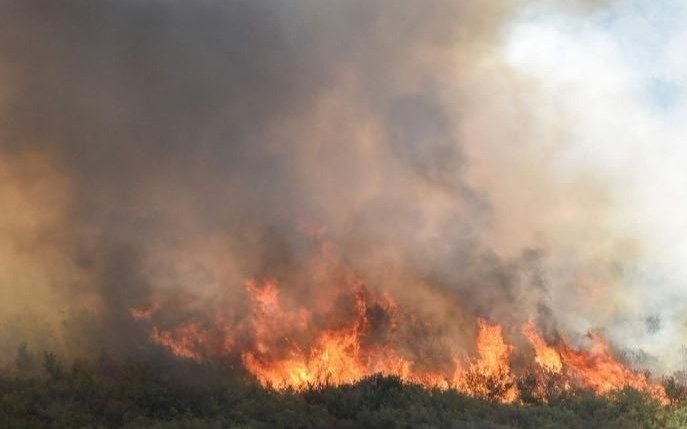 La zona Oeste castigada otra vez por incendios de campos y basurales