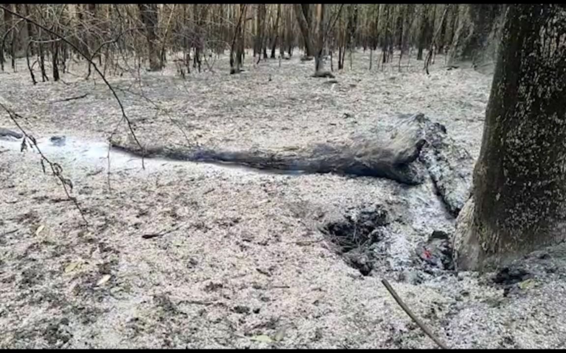 Un incendio que agrava el estado de abandono del Parque Pereyra Iraola