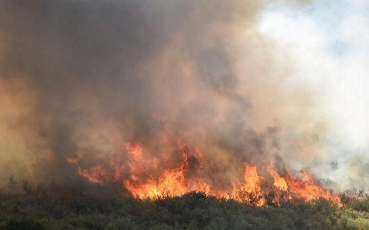 Cayó un helicóptero que combatía incendios en Neuquén: dos muertos