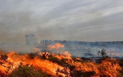 La costosa enseñanza que deja el incendio desatado en un sector de la Patagonia