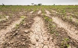 Por la sequía, prometen aumentar el fondo de emergencia agropecuario