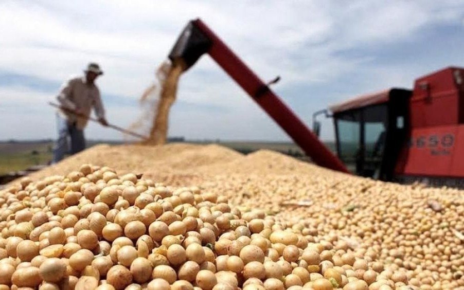 Por la sequía el precio de la soja marca máximos desde 2012