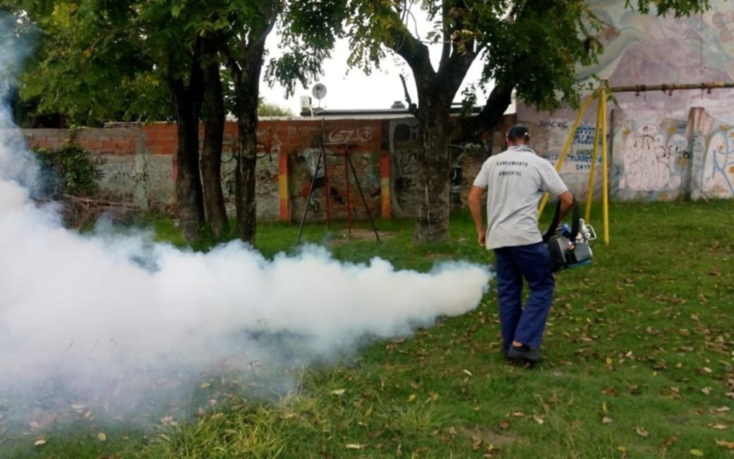 Insisten con los controles para frenar a los mosquitos
