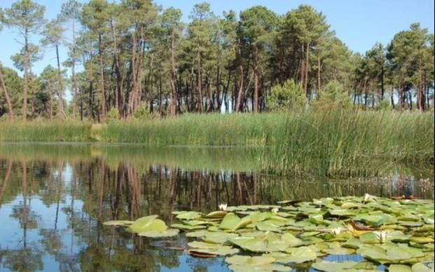 Por una mejor defensa de los valiosos humedales de nuestra región