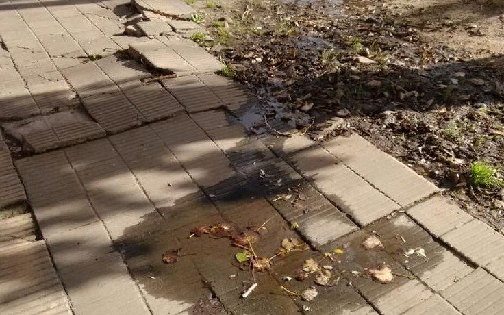 Falta un plan de reparación del ruinoso estado de muchas veredas