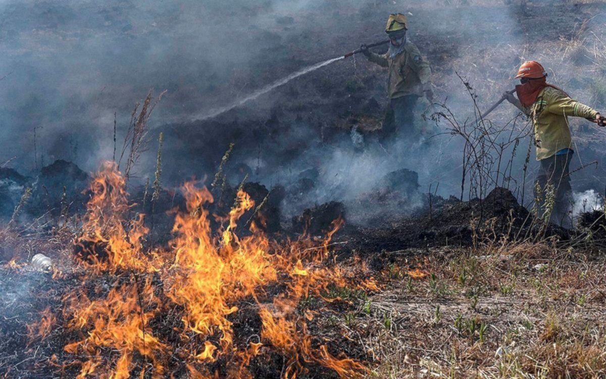 Cabandié irá al Senado para explicar la situación por el fuego en Corrientes
