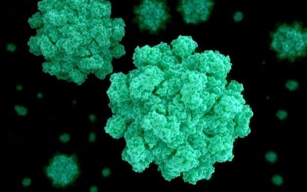 La reaparición de la polio genera alerta a nivel mundial