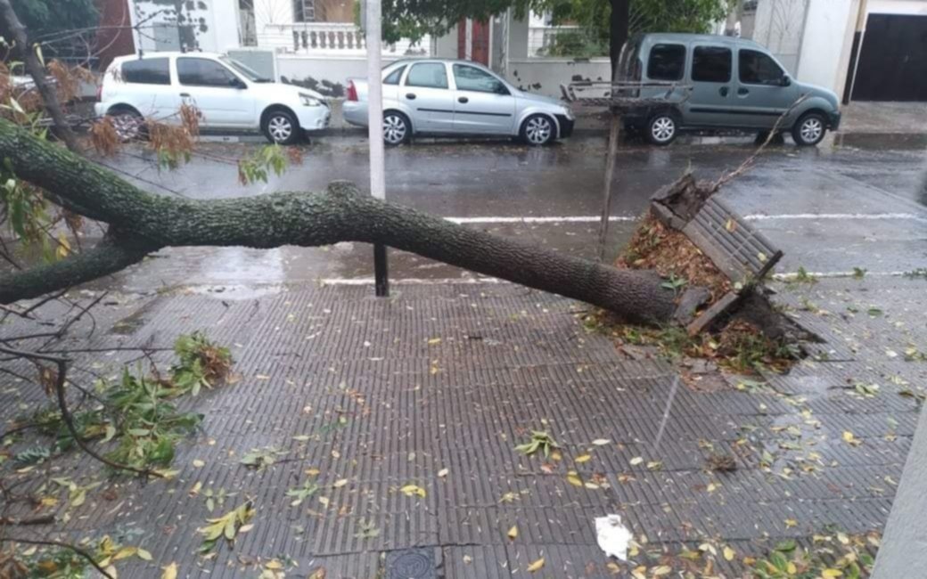 Defensa Civil apta y recursos frente al notable aumento de tormentas en la Región