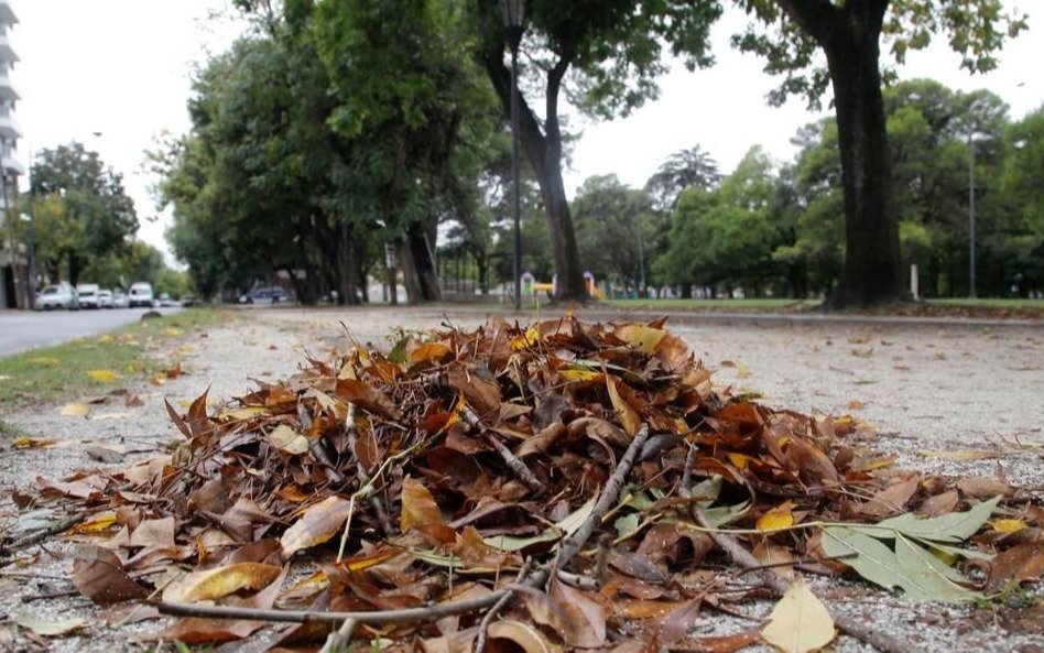 Reclamos por falta de barrido en distintos barrios de la Ciudad