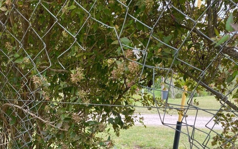 Una banda puso en alerta a un barrio de City Bell