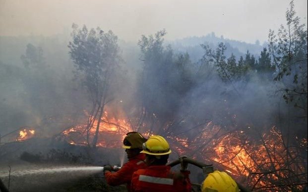 Los mapuches bajo la lupa por incendios y ataques en el sur de Chile