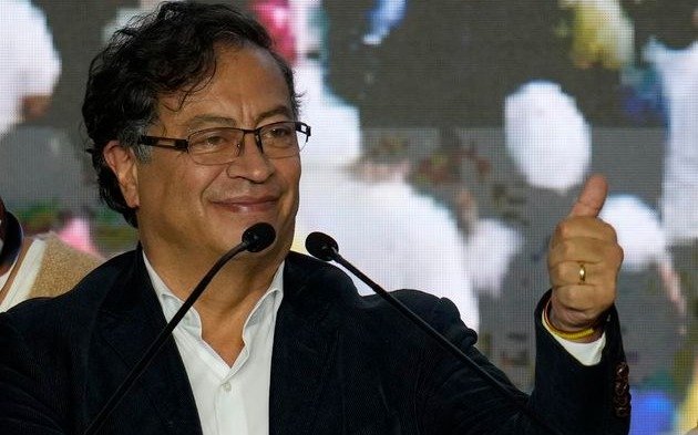El colapso de los delfines