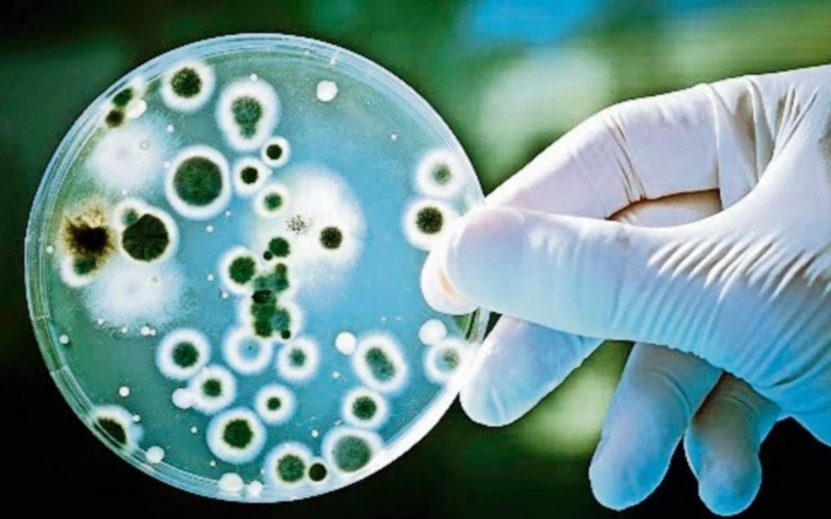 Las bacterias resistentes preocupan a la OMS
