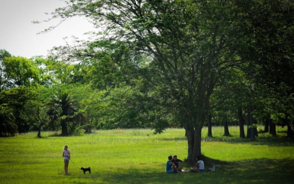 Aumentar la seguridad en el Parque Ecológico y en los demás paseos de la Región