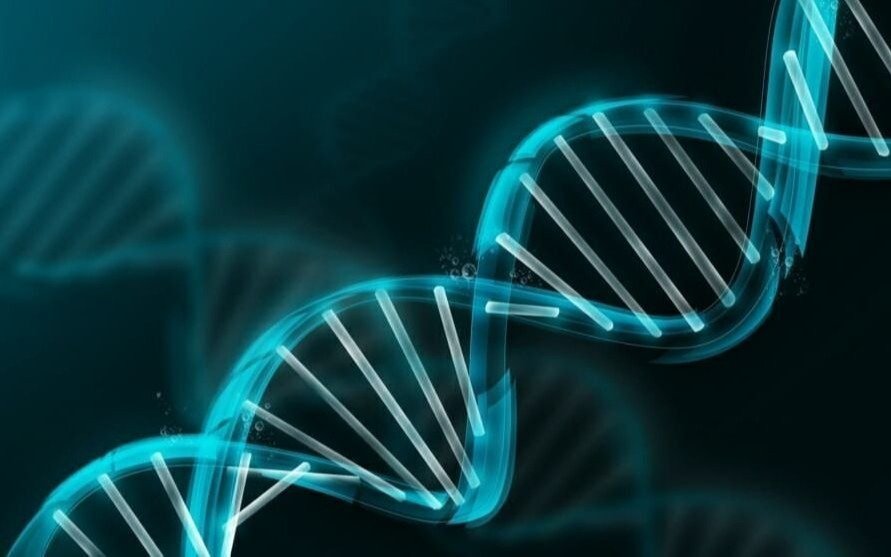 Personas de rostros parecidos tienen similitudes en su ADN y personalidad