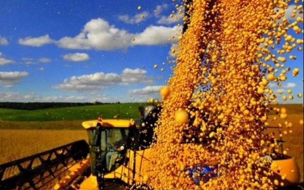 Los mercados se mueven al ritmo de los sojadólares