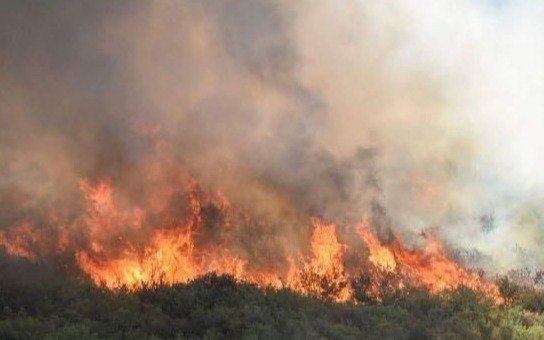 Jujuy: el fuego ya arrasó más de 4.000 hectáreas