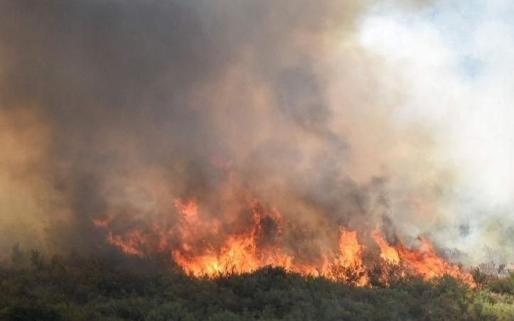 En la Punilla cordobesa se quemaron casi 5.000 hectáreas en tres días
