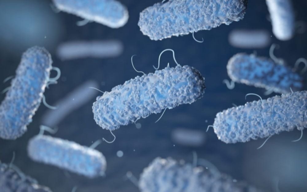 Bacterias resistentes: nuevo estudio de mortalidad