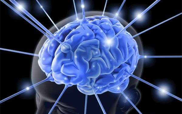 Asocian buena memoria en la vejez con superneuronas