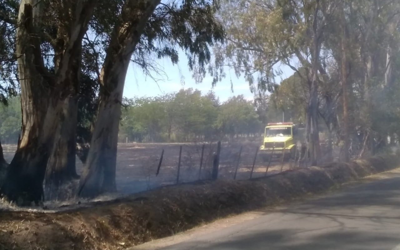 No cesan los incendios de campos de la Región: ahora en Gorina