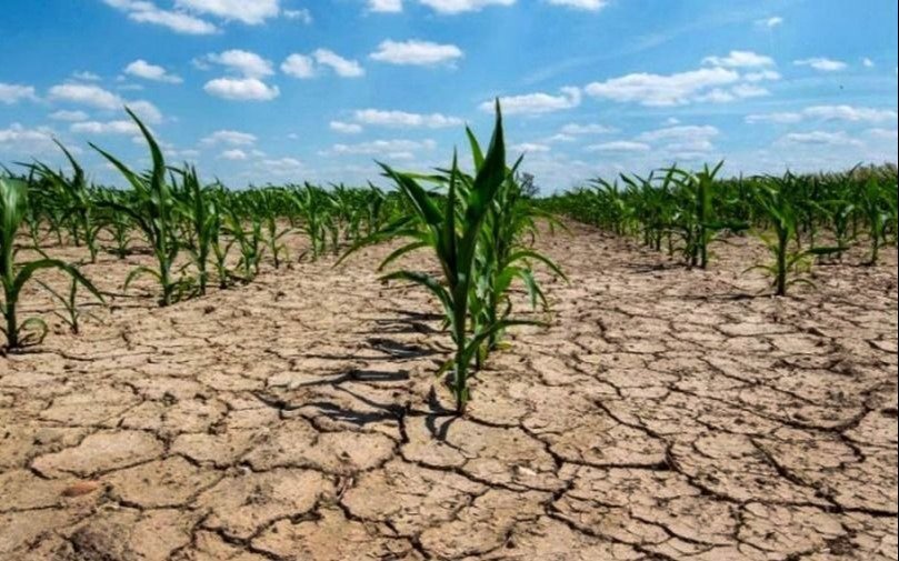 La sequía no da tregua y temen una situación “muy grave” para los cultivos