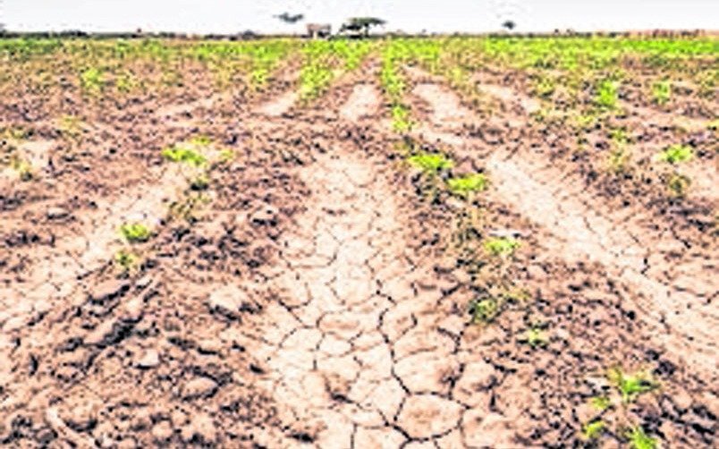 La sequía sigue y complica a la economía