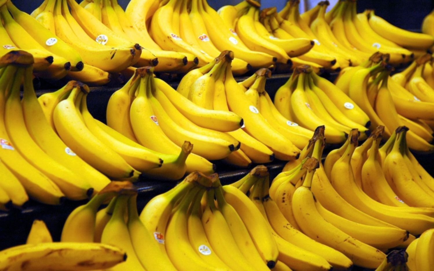 Polémica entre los productores y el Gobierno por el “dólar banana”